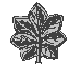Commander collar insignia