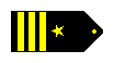 Commander shoulder boards