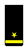 Ensign sleeve insignia