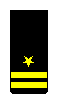 Lieutenant sleeve insignia