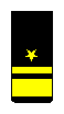 Rear Admiral sleeve insignia