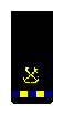 Warrant Officer Junior Grade (WO1) sleeve insignia
