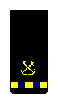 Commissioned Warrant Officer (CWO3) sleeve insignia