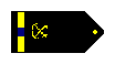 Commissioned Warrant Officer (CWO4) shoulder boards