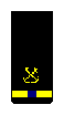 Commissioned Warrant Officer (CWO4) sleeve insignia