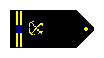Chief Warrant Officer (CWO5) shoulder boards