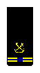 Chief Warrant Officer (CWO5) sleeve insignia